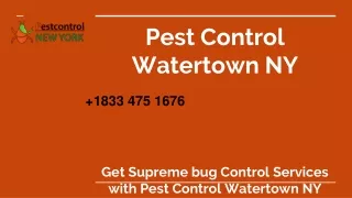 pest control watertown ny get supreme bug control services with pest control watertown ny