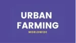 What is Urban Farming