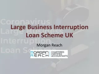 Key Features of The Loan Scheme UK