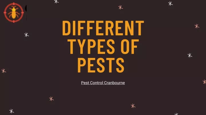 different types of pests
