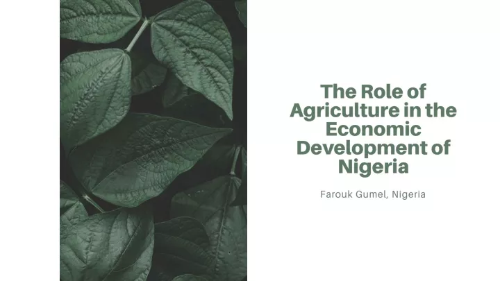 the role of agriculture in the economic