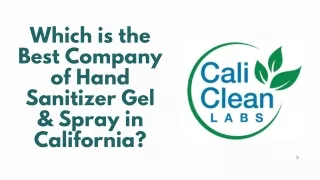 Which is the affordable company of Hand Sanitizer Gel & Spray company in California?