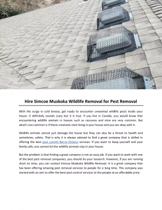 Hire Simcoe Muskoka Wildlife Removal for Pest Removal