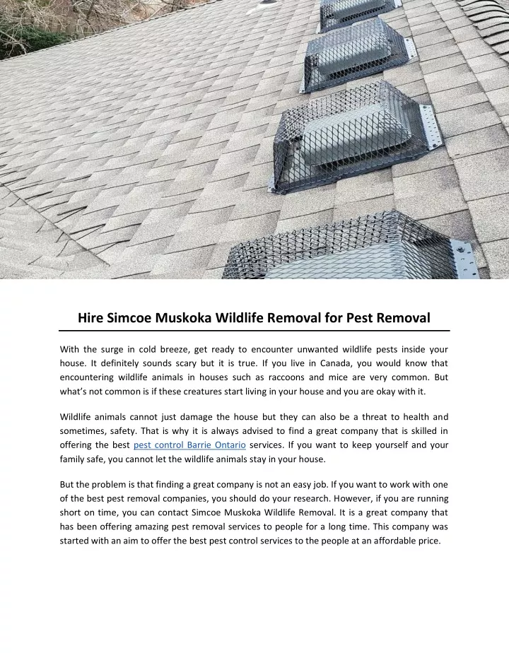hire simcoe muskoka wildlife removal for pest
