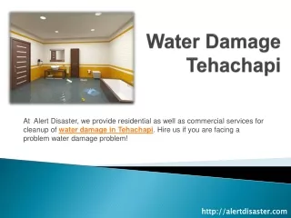 Water Damage Tehachapi