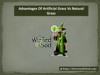 advantages of artificial grass vs natural grass