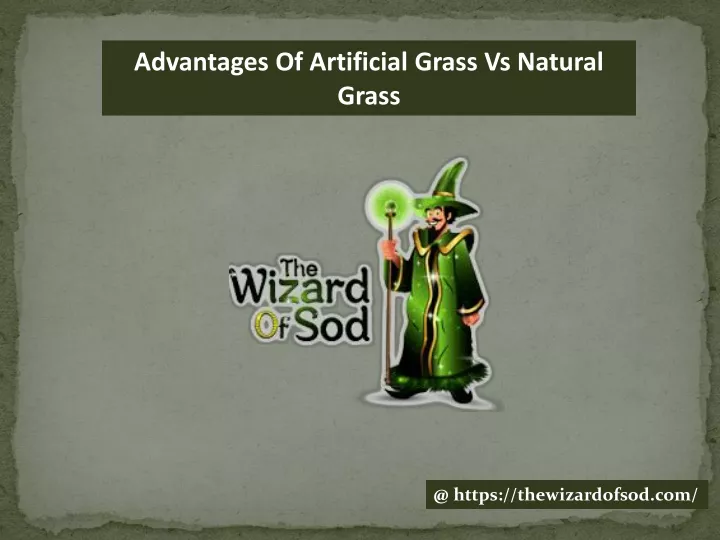 advantages of artificial grass vs natural grass