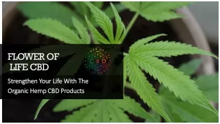 Strengthen Your Life With The Organic Hemp CBD Products