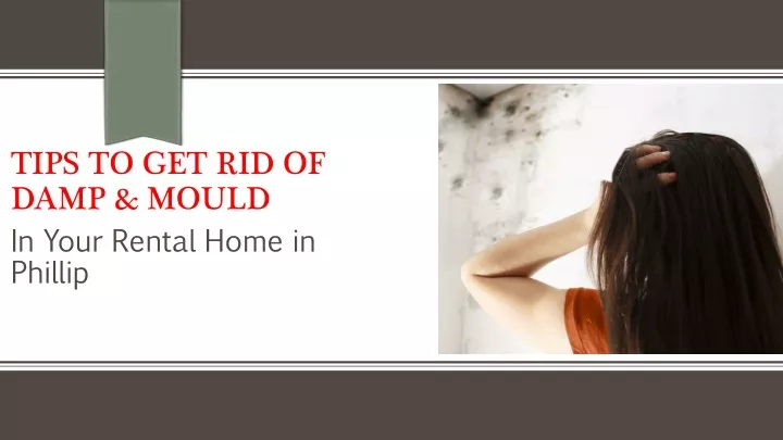 tips to get rid of damp mould