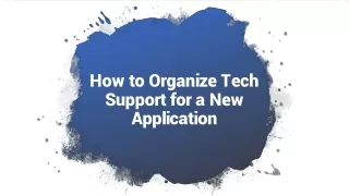 How to Organize Tech Support for a New Application