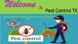 pest control tx