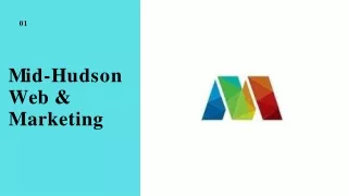 m i d h u d s o n web marketing