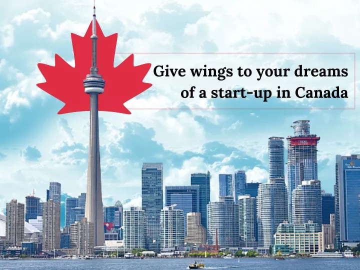 give wings to your dreams of a start up in canada