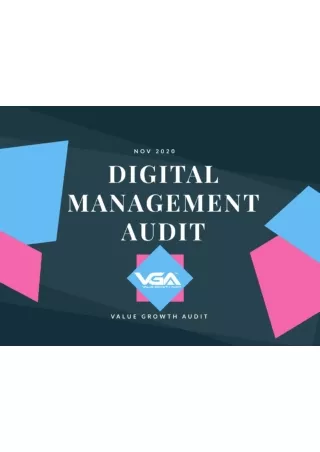 Digital Management Audit