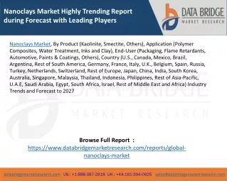 nanoclays market highly trending report during