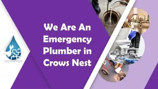 We Are An Emergency Plumber in Crows Nest