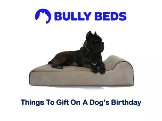 Things To Gift On A Dog’s Birthday