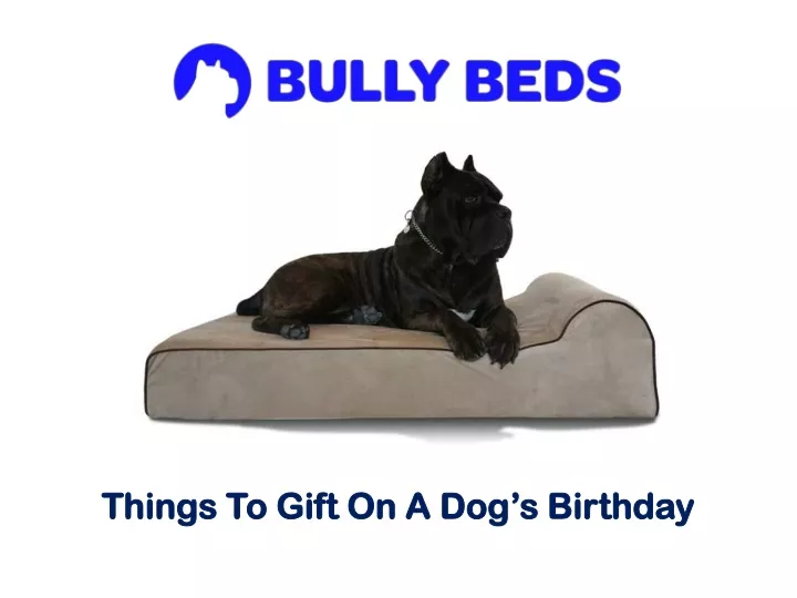 things to gift on a dog s birthday