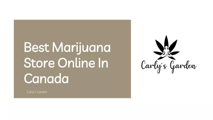 best marijuana store online in canada