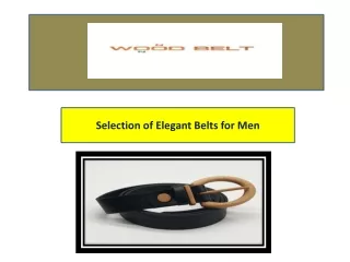 Selection of Elegant Belts for Men