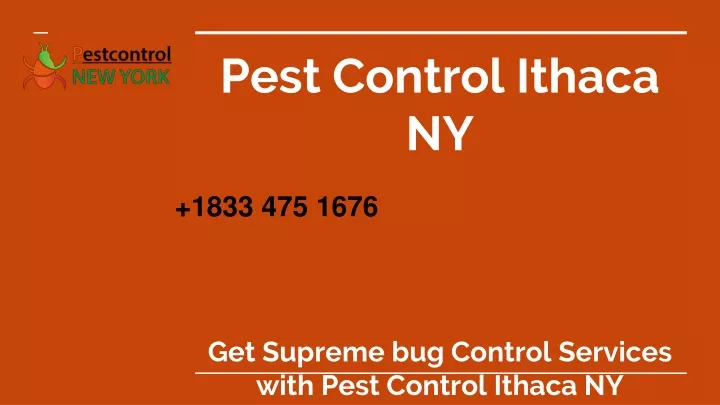 pest control ithaca ny get supreme bug control services with pest control ithaca ny