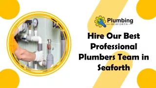 Hire Our Best Professional Plumbers Team in Seaforth