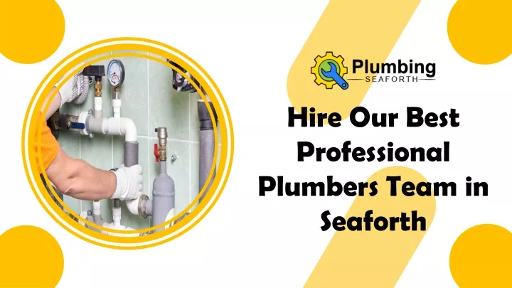 hire our best professional plumbers team