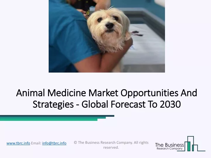 animal medicine animal medicine market strategies