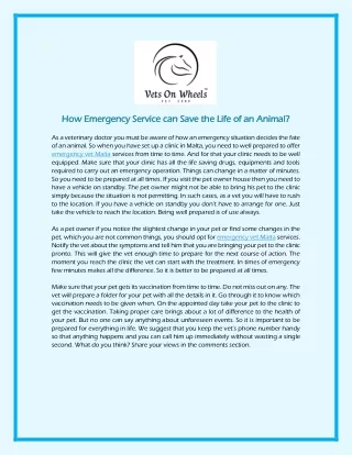 How Emergency Service can Save the Life of an Animal