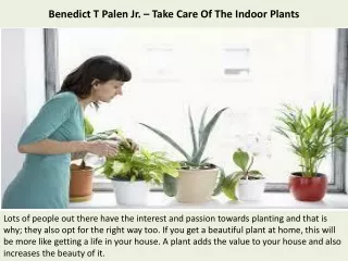 Benedict T Palen Jr. – Take Care Of The Indoor Plants