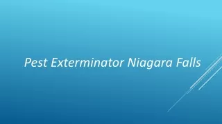 Pest exterminator Niagara Falls