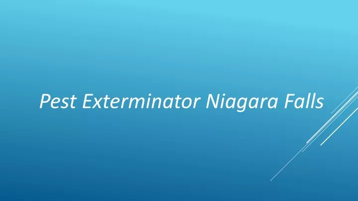 pest exterminator niagara falls