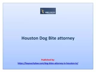 Houston Dog Bite attorney