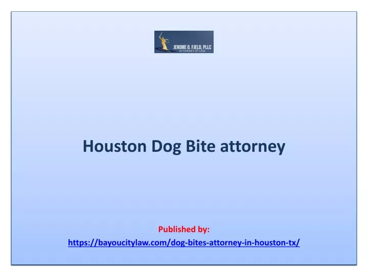 houston dog bite attorney published by https bayoucitylaw com dog bites attorney in houston tx