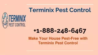 terminix pest control