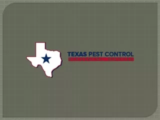 Pest Control San Antonio - Satxpest