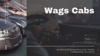 wags executive