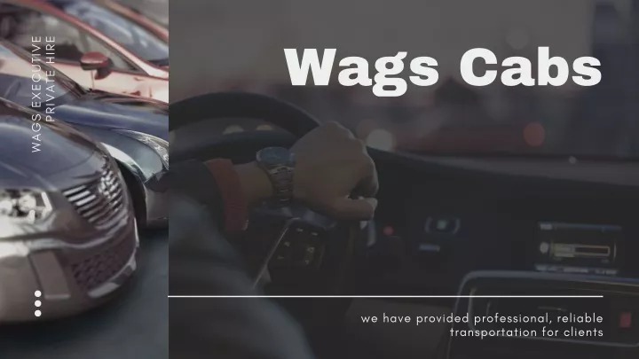 wags executive