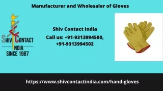 Manufacturer and Wholesaler of Gloves