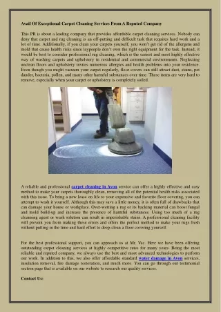 avail of exceptional carpet cleaning services