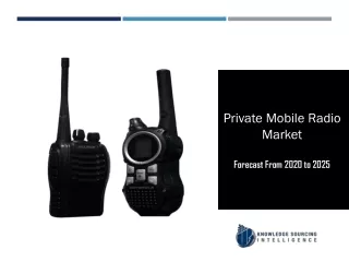 Segment Analysis On Private Mobile Radio Market