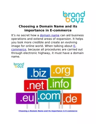 Choosing a Domain Name and its importance in E-commerce.