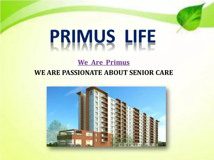 we are primus
