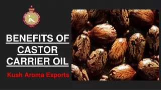 Benefits of Castor Carrier Oil- Kush Aroma Exports