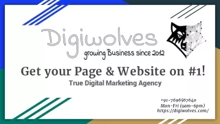 True Digital Marketing Agency | Best SEO company  | DigiWolves