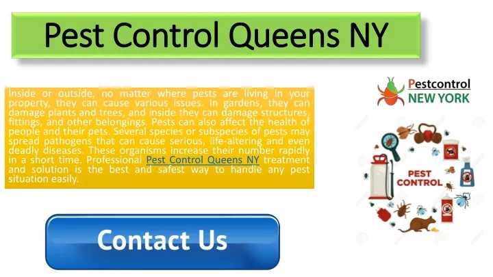 pest control queens ny