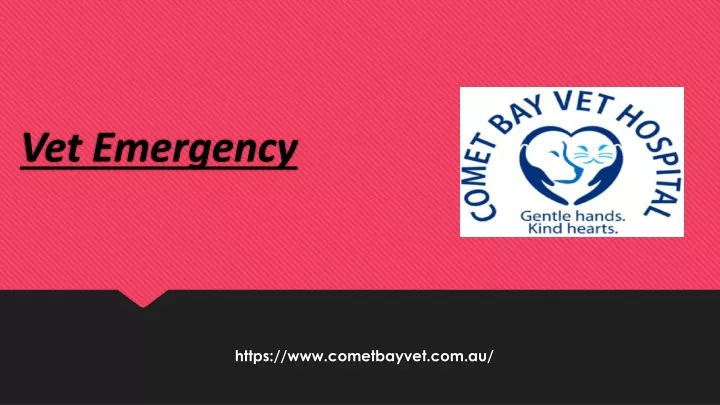 vet emergency