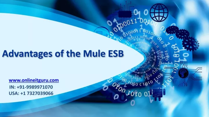 advantages of the mule esb