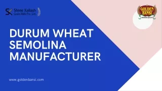 Durum Wheat for Pasta Manufacturing - Shree Kailash Grain Mills