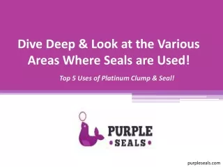 Dive Deep & Look at the Various Areas Where Seals are Used!